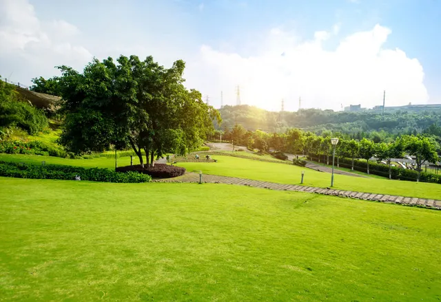 Green lawn with a tree, stone path, and trees in the background under a bright sky.